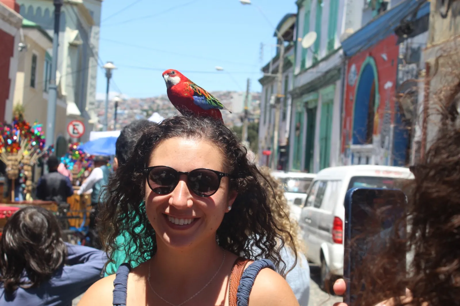 Colorful hillside streets of Valparaíso, part of the Valparaíso & Viña del Mar day trip