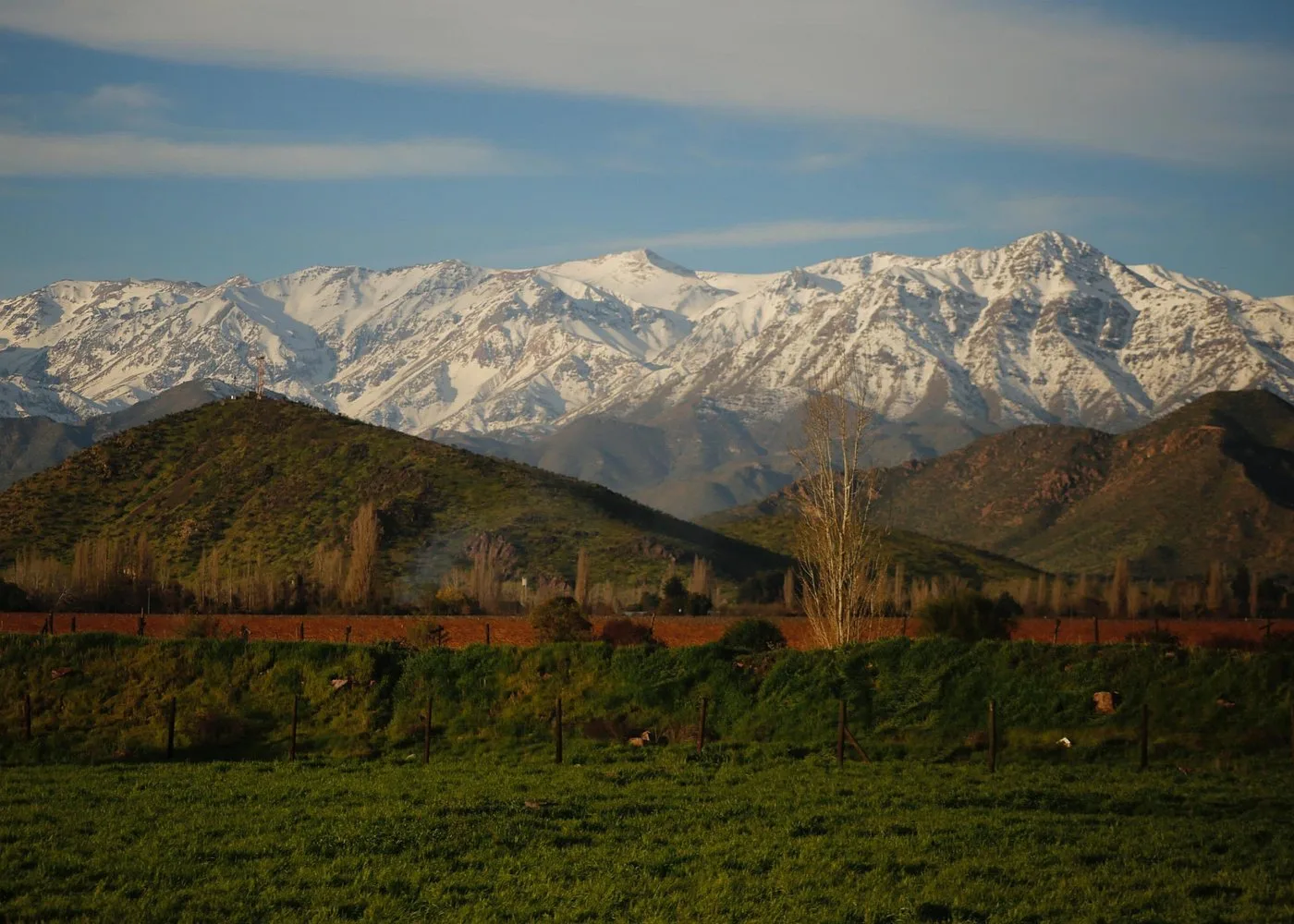 Andes image 17