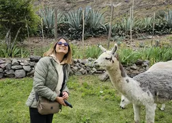 Andes thumbnail 20