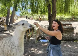 Andes thumbnail 23