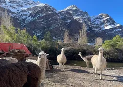 Andes thumbnail 4