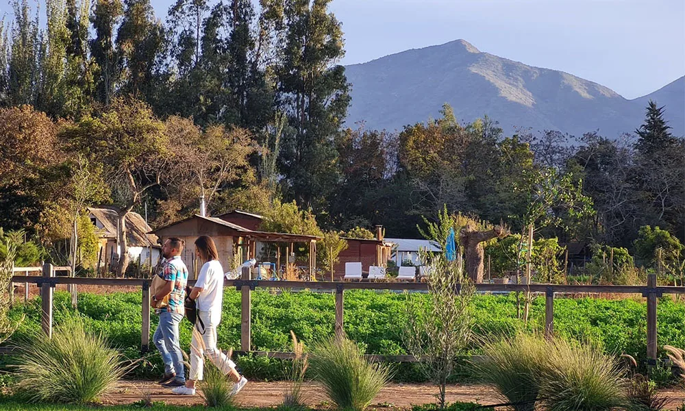 Maipo image 1