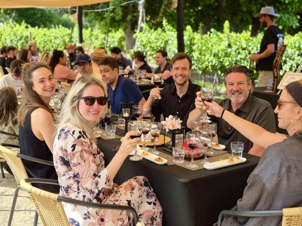 Travelers raising glasses of red wine in a toast at a long table among Maipo Valley vineyards