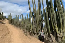 Maipo thumbnail 8