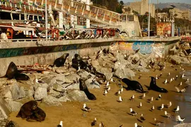 Valparaiso thumbnail 30