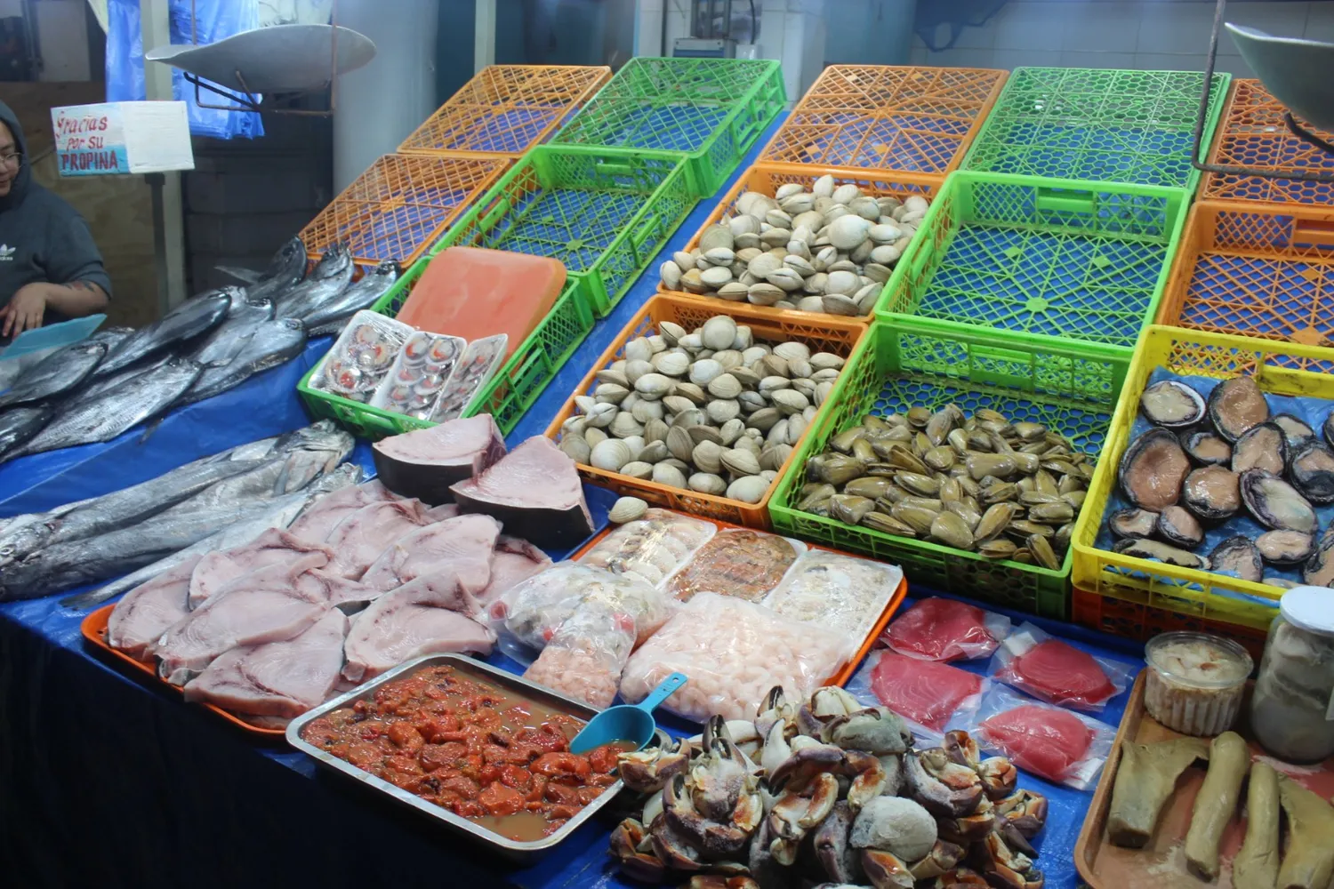 The fishing cove and market at Caleta Portales